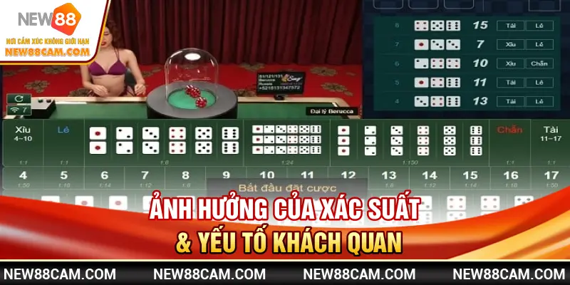 Tài xỉu New88 – Cách bắt cầu chuẩn & mẹo thắng cho người chơi 3 Ảnh hưởng của xác suất & yếu tố khách quan