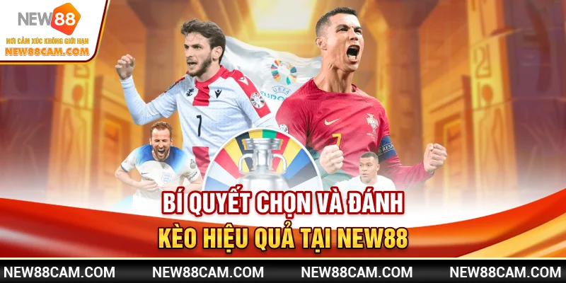 Thể Thao New88 – Cập Nhật Kèo Nhanh & Tỷ Lệ Trả Cược Cao 3 Bí quyết chọn và đánh kèo hiệu quả tại New88