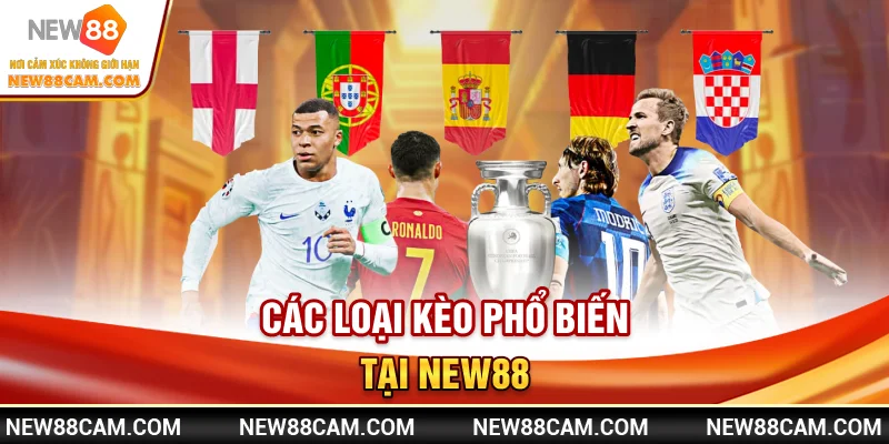 Thể Thao New88 – Cập Nhật Kèo Nhanh & Tỷ Lệ Trả Cược Cao 2 Các loại kèo phổ biến tại Thể Thao New88