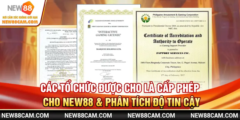 Giấy phép New88 được cấp bởi tổ chức nào uy tín 2 Các tổ chức được cho là cấp giấy phép New88 & phân tích độ tin cậy